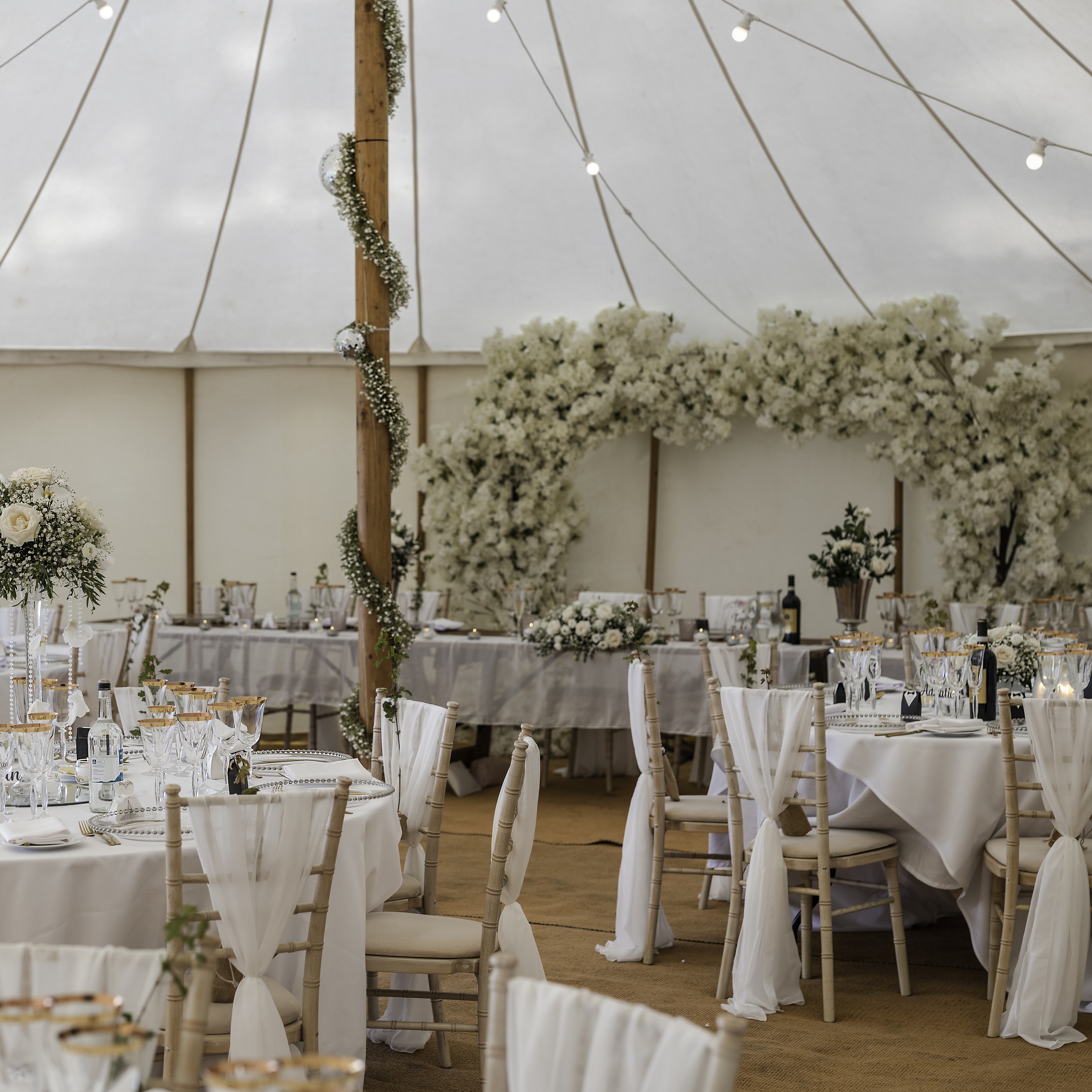 Paul Placitelli Photography